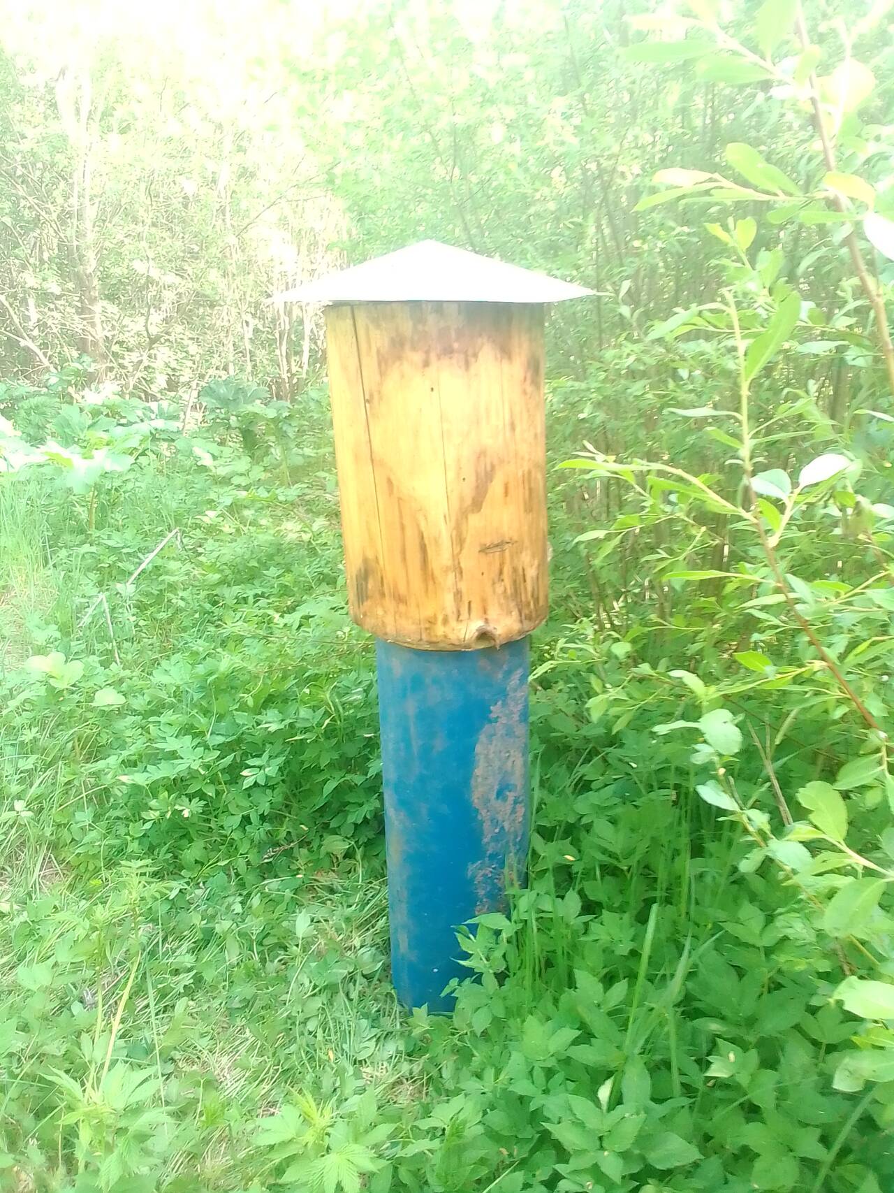 Колода для пчел в Луге фото 3 Работа Луга