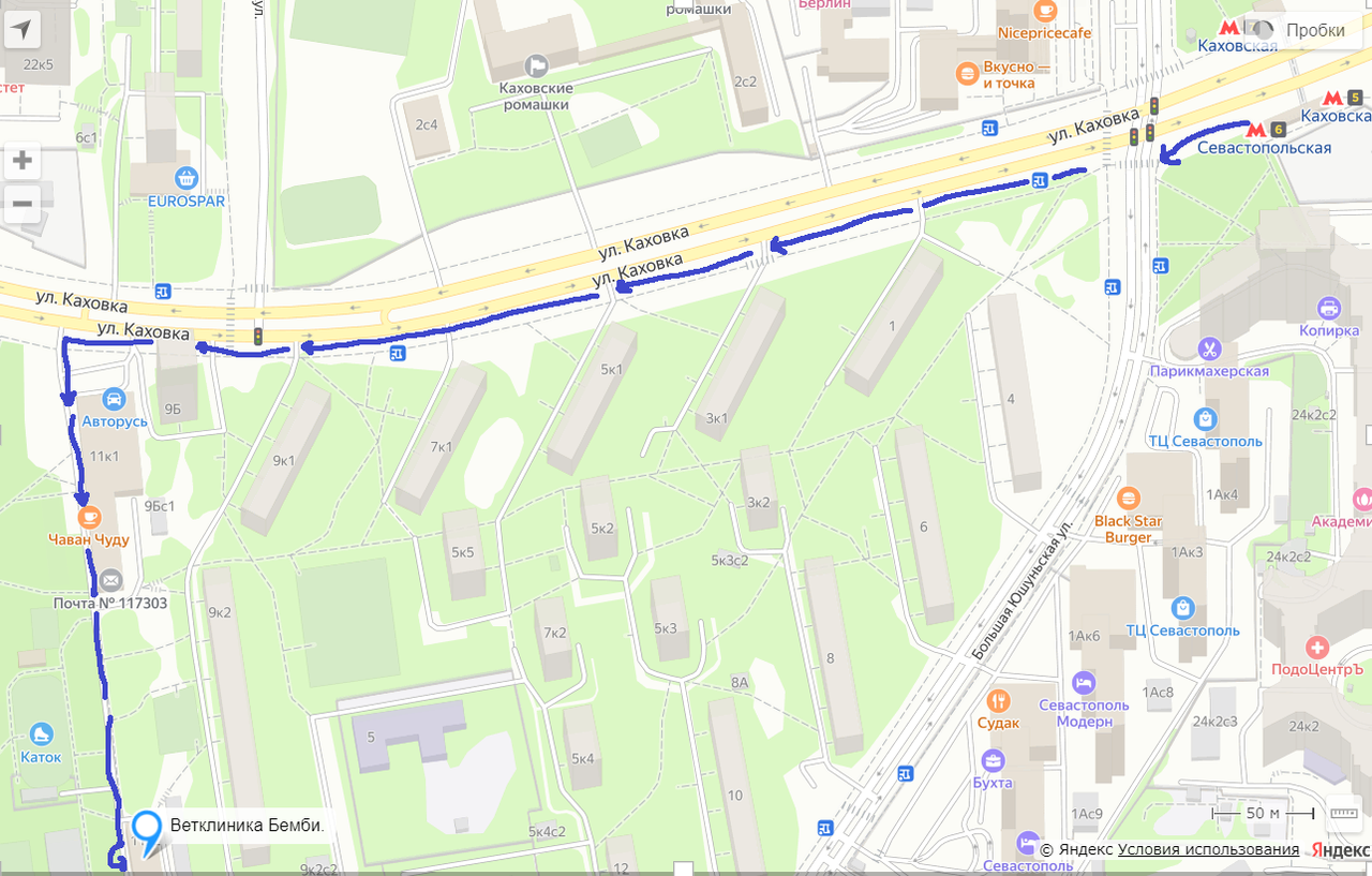 Ветеринарный врач нефролог на Каховке. в Москве фото 2 Услуги Москва