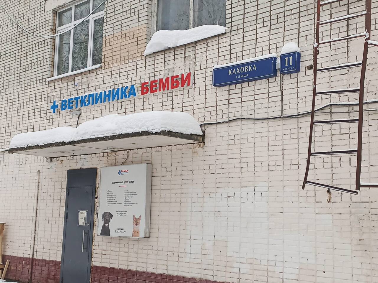 Ветеринарный врач нефролог на Каховке. Ветеринарный врач нефролог на Каховке.