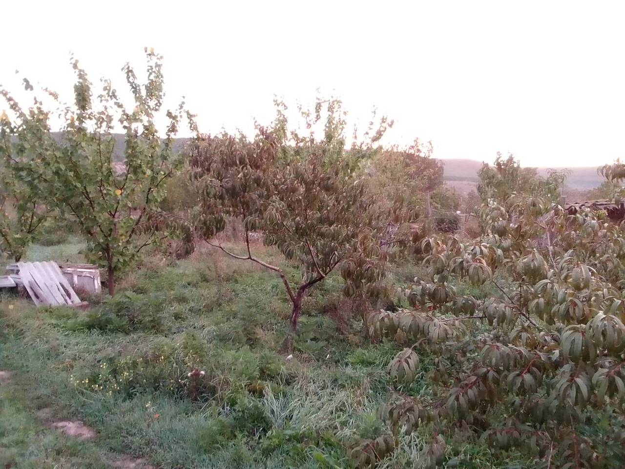 Продается дом в заповедной зоне Крыма ,недалеко от Белой Скалы . в Белогорске (Республика Крым) фото 5 Недвижимость Белогорск (Республика Крым)