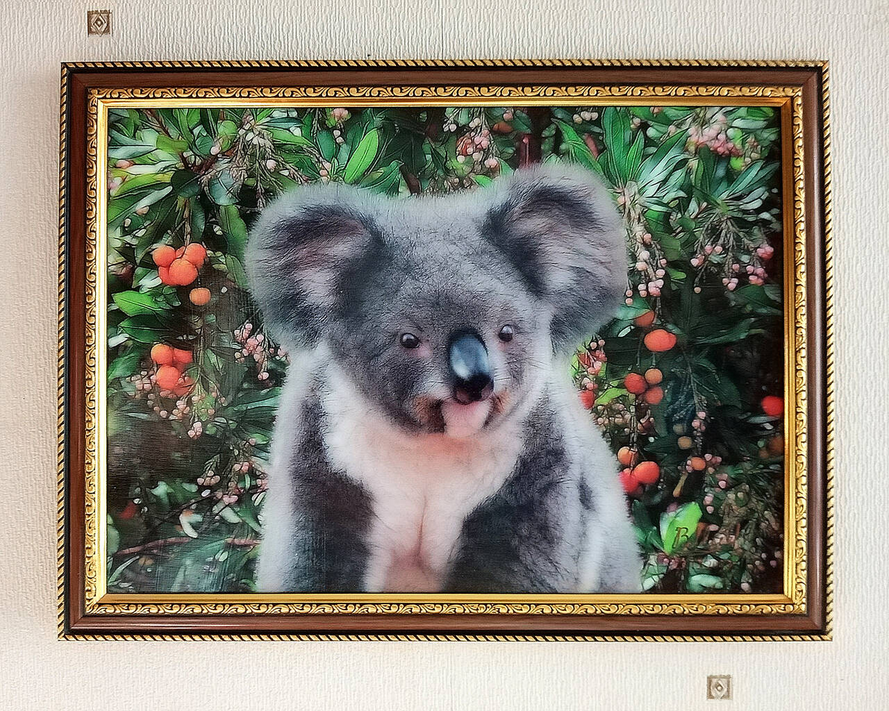 Картина Коала Миха