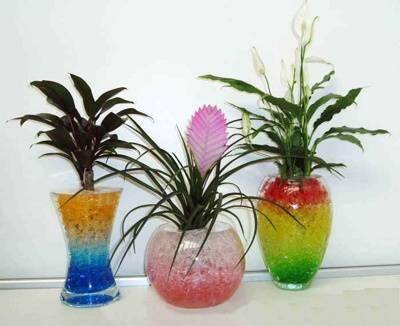 Floragel - гидрогель для выращивания растений в Москве фото 5 Для дома и дачи Москва