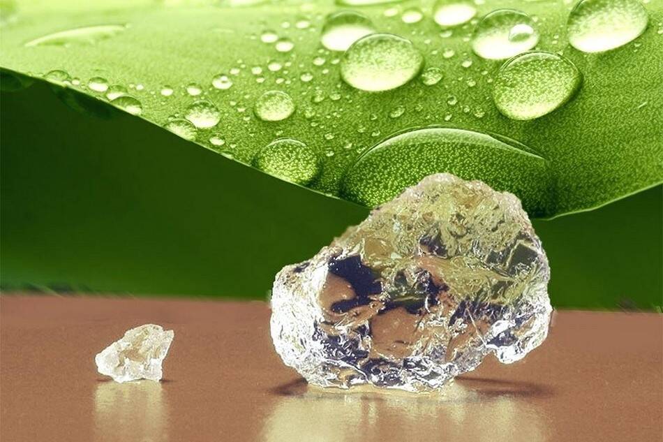 Floragel - гидрогель для выращивания растений