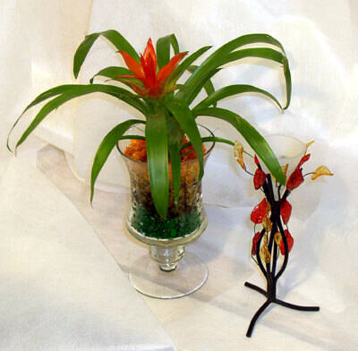 Floragel - гидрогель для выращивания растений в Москве фото 4 Для дома и дачи Москва