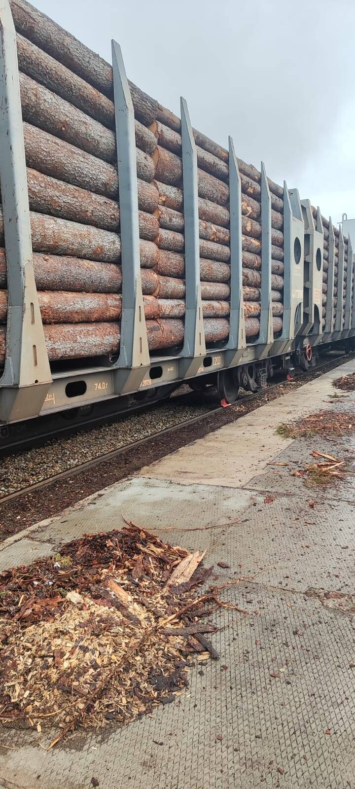 Закупаем Лес Кругляк Ель в Вязьме фото 2 Для дома и дачи Вязьма