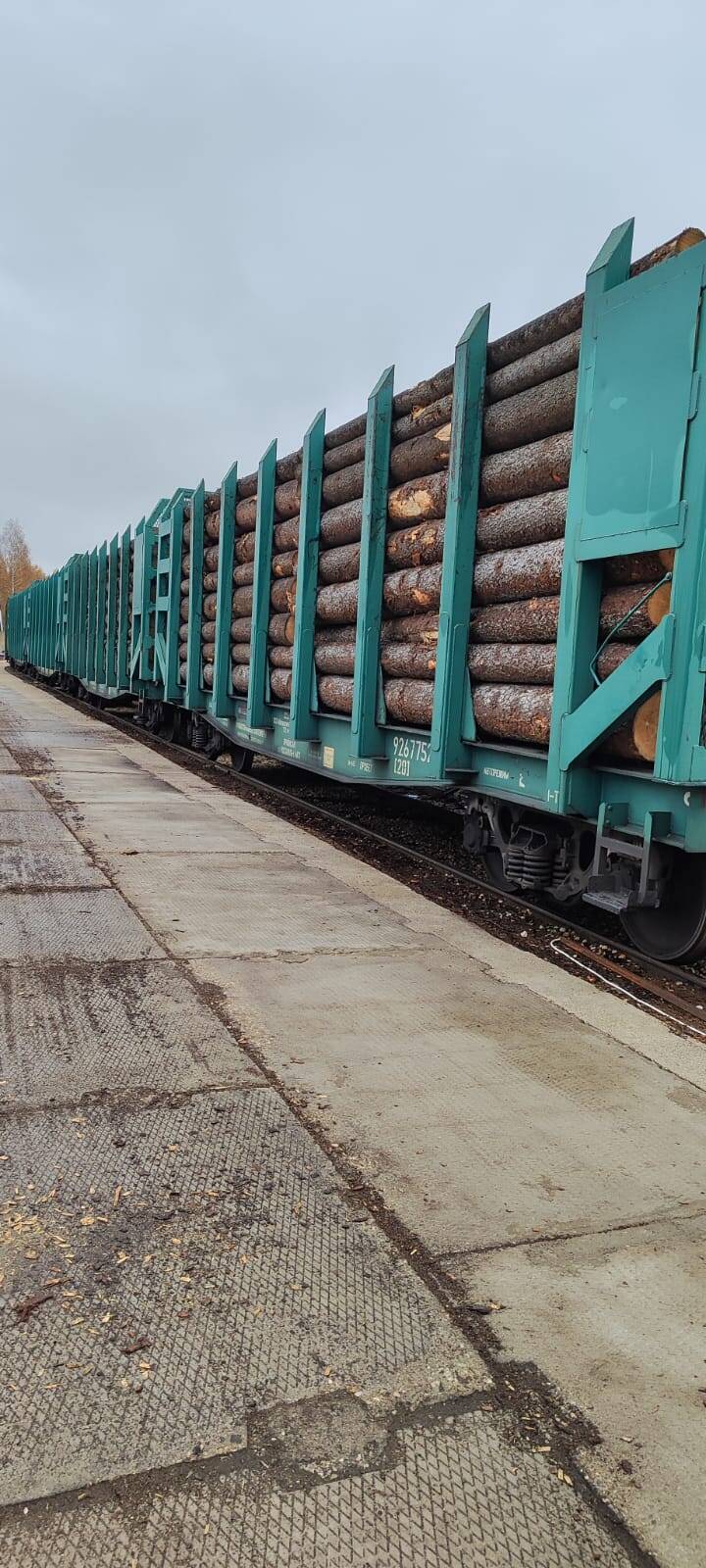 Закупаем Лес Кругляк Ель