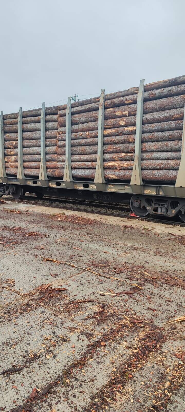 Закупаем Лес Кругляк Ель в Вязьме фото 3 Для дома и дачи Вязьма