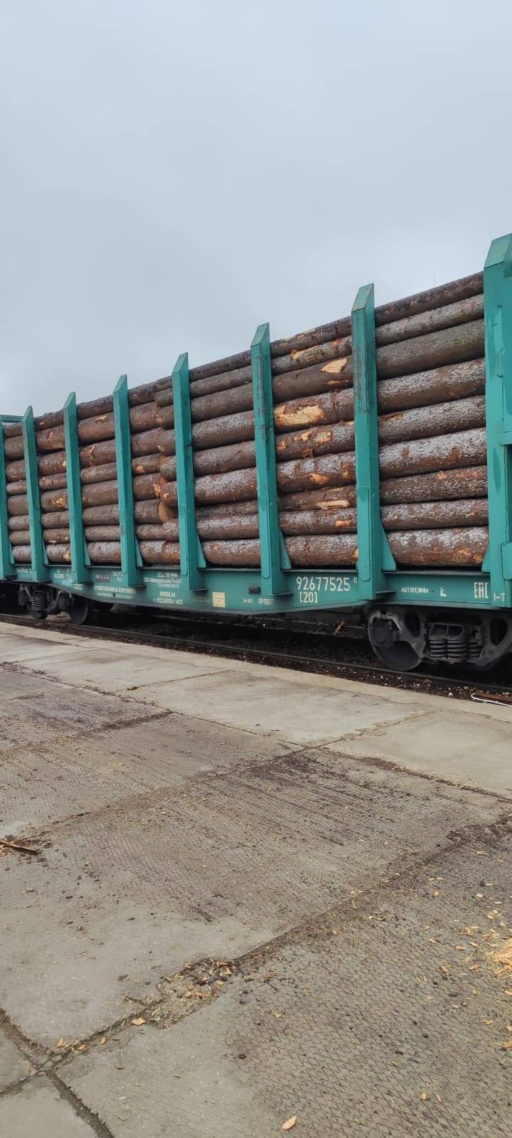 Закупаем Лес Кругляк Ель в Вязьме фото 4 Для дома и дачи Вязьма