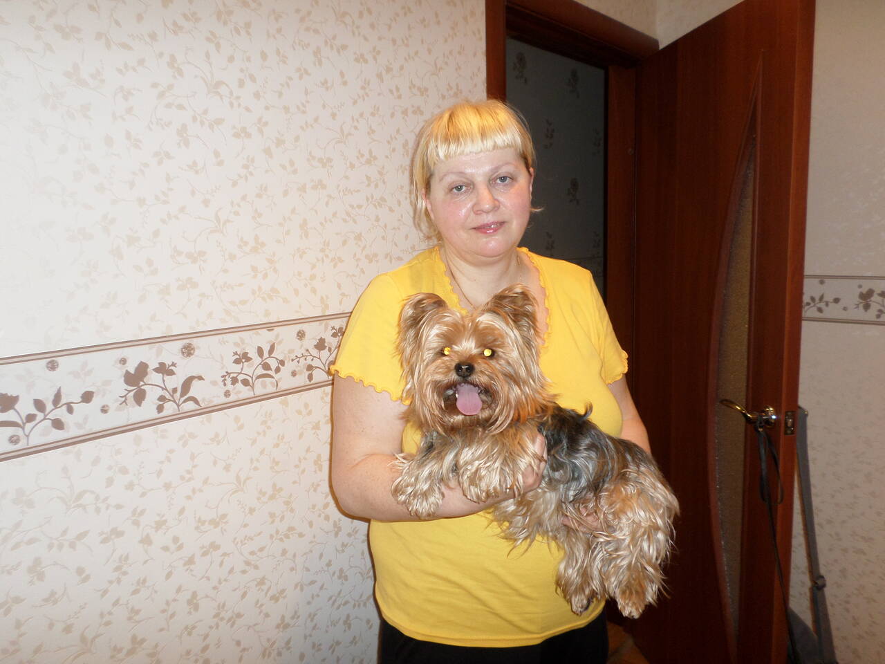 Вязка Йорков микро, мини и стандарт.