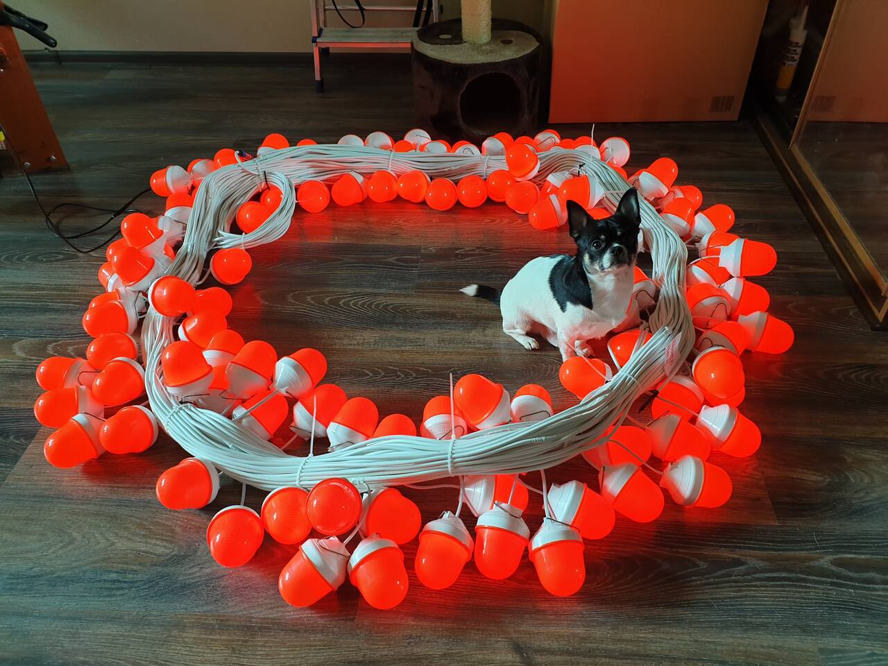 Гирлянда фс-12  в Москве фото 5 Услуги Москва