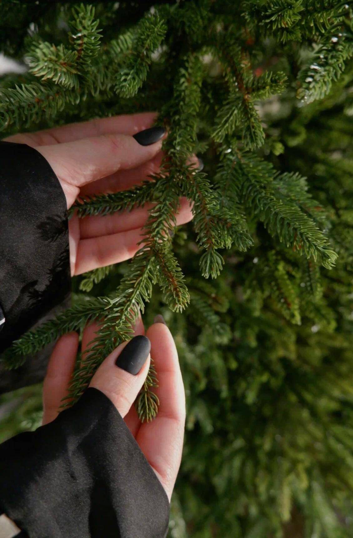 Ёлка искусственная новогодняя  в Хабаровске фото 3 Для дома и дачи Хабаровск