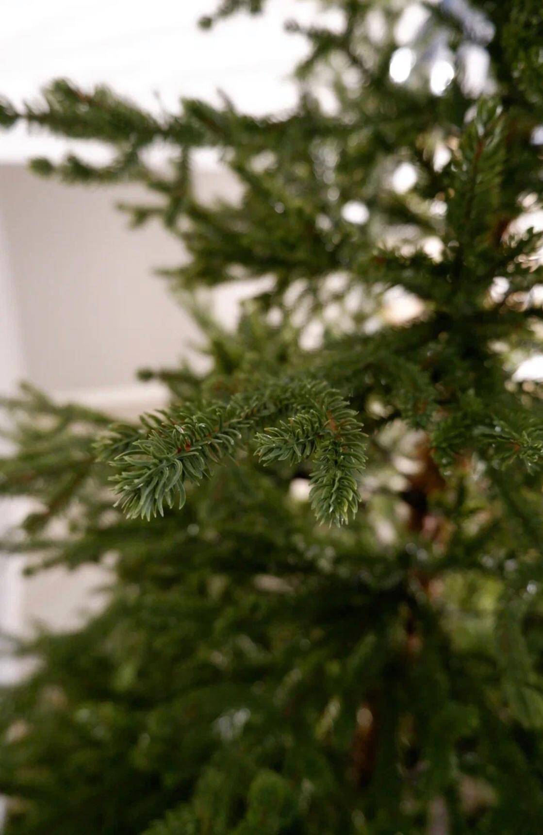 Ёлка искусственная новогодняя  в Хабаровске фото 6 Для дома и дачи Хабаровск