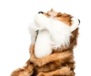 Шапка-ушанка зимняя "Лиса" в Москве фото 1 Личные вещи Москва Шапка-ушанка зимняя "Лиса" в Москве фото 1 Личные вещи Москва