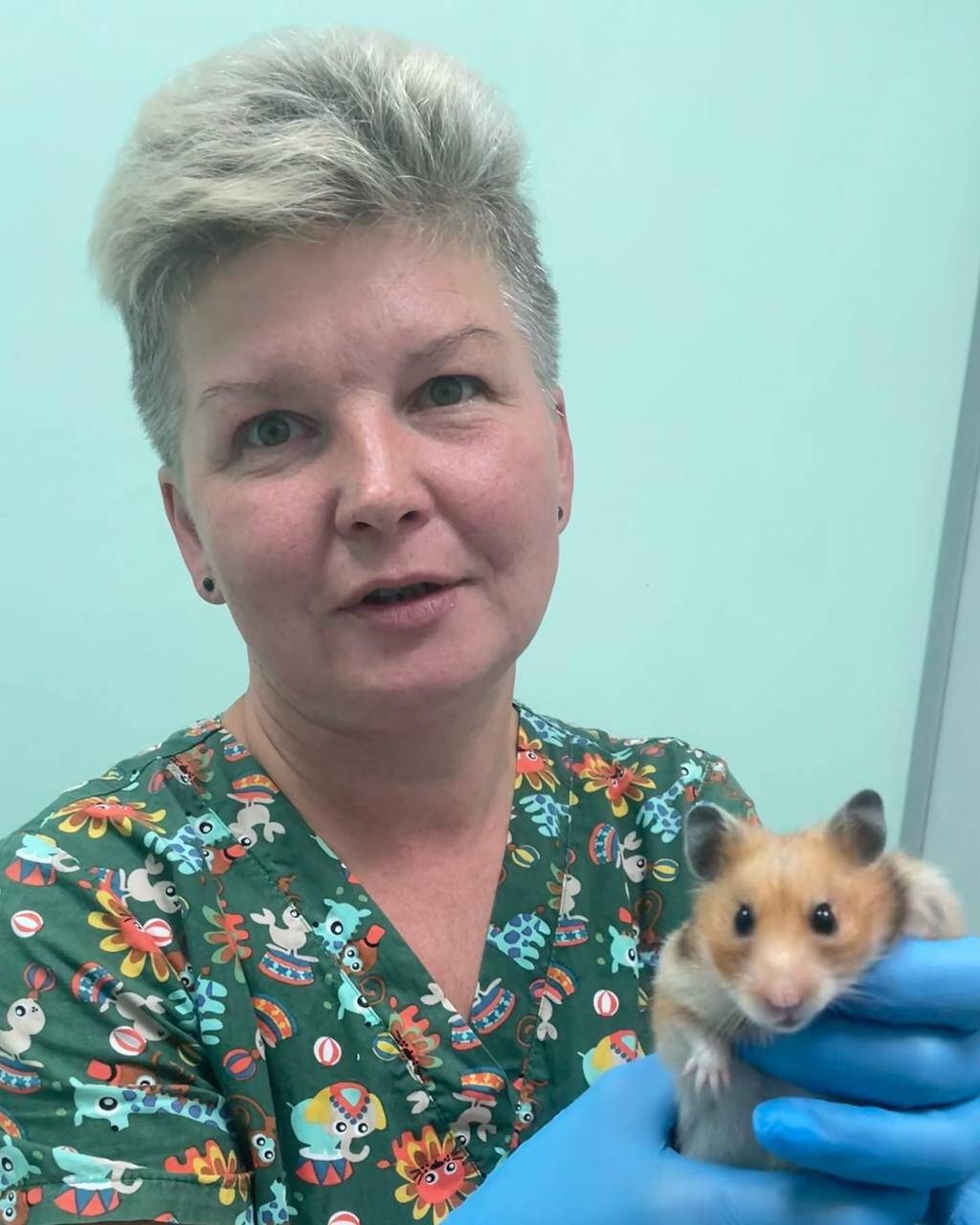 Ветеринарный врач ратолог в Ясенево. в Москве фото 3 Услуги Москва