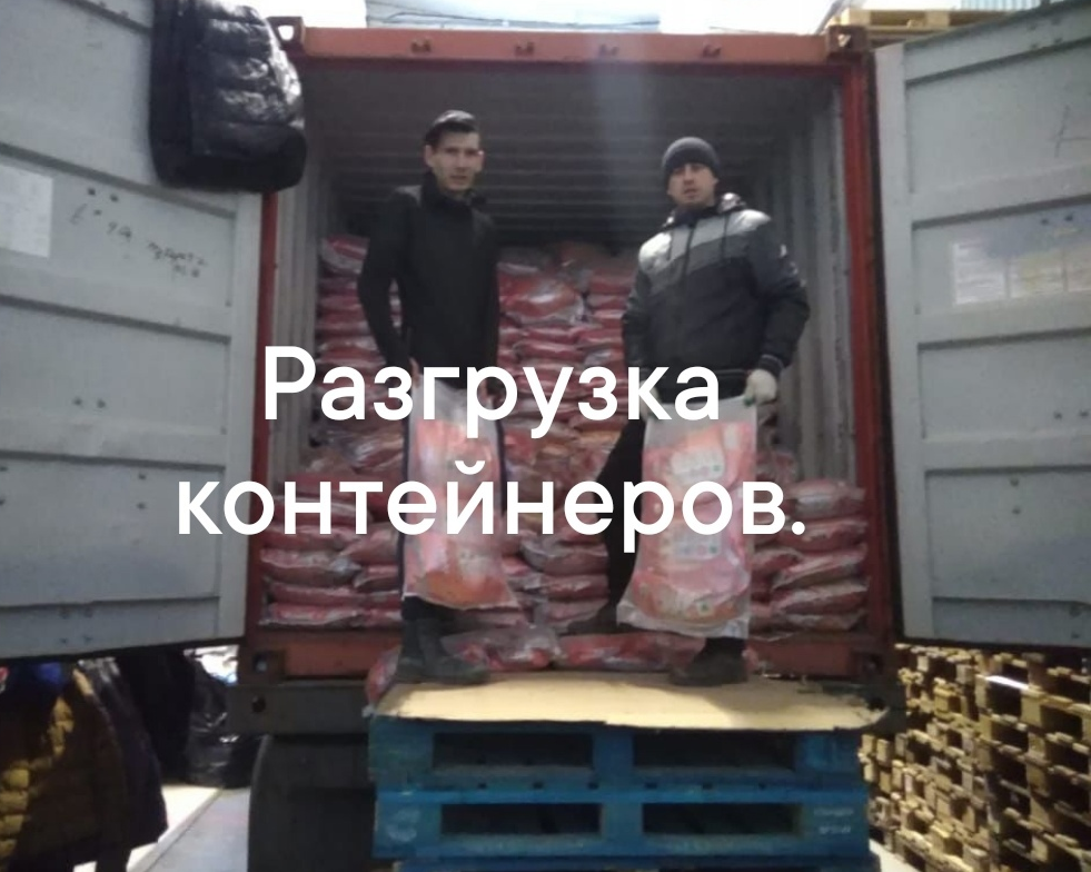 Услуги разнорабочих,подсобников. в Санкт-Петербурге фото 1 Услуги Санкт-Петербург Услуги разнорабочих,подсобников. в Санкт-Петербурге фото 1 Услуги Санкт-Петербург