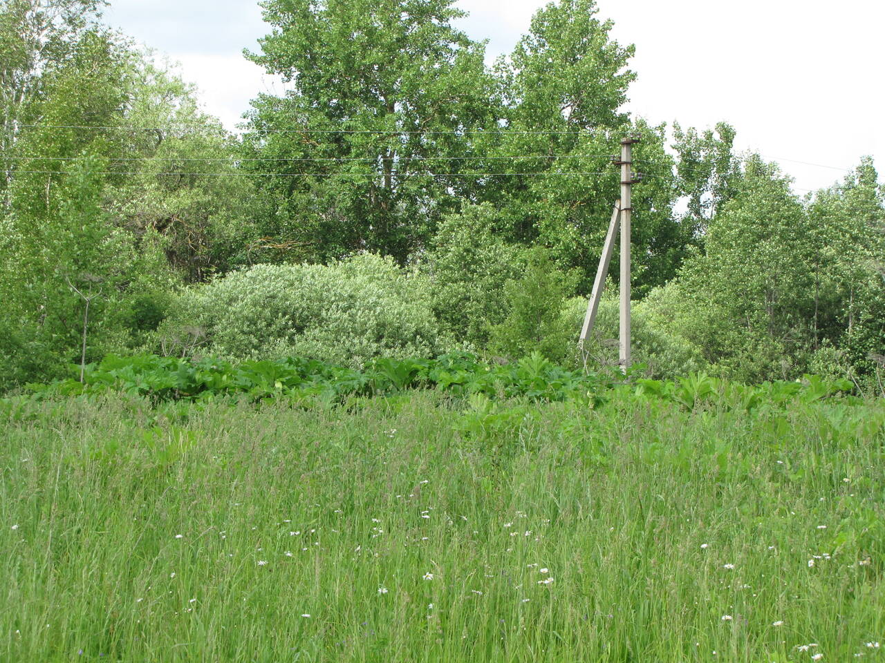 Земельный участок 45 Га (готовое фермерское хоз-во) Шаховского района в Волоколамске фото 2 Недвижимость Волоколамск