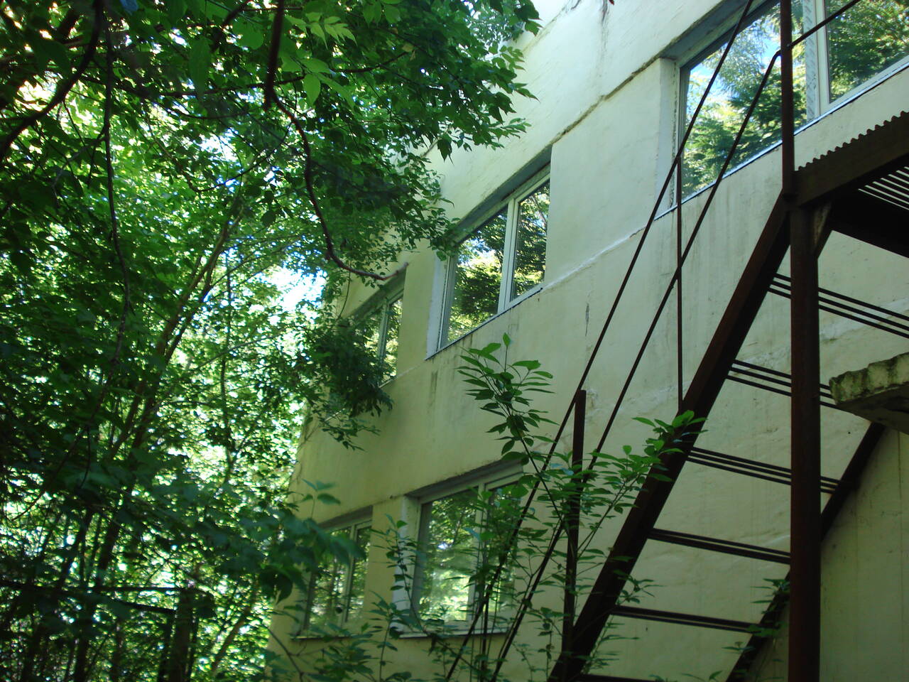 Производство, склад с участком в Люберцах фото 3 Недвижимость Люберцы