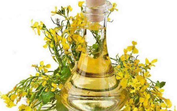 Масло рапсовое, рафинированное дезодорированное от производителя