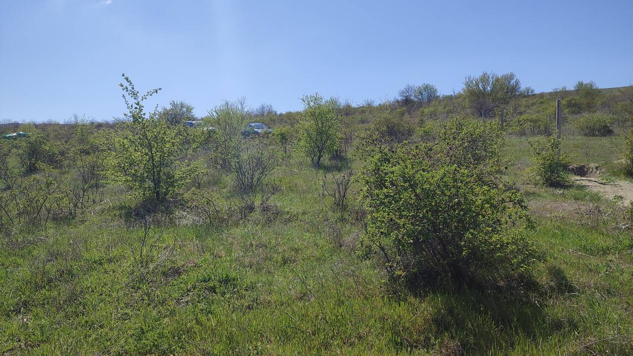 Продается участок в городе Феодосия СПК Солнечное