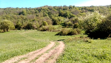 Продаётся земельный участок на в черте города Старый Крым, вдоль речки Чурюк-Су. в Старом Крыме фото 4 Недвижимость Старый Крым