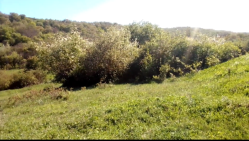 Продаётся земельный участок на в черте города Старый Крым, вдоль речки Чурюк-Су. в Старом Крыме фото 3 Недвижимость Старый Крым