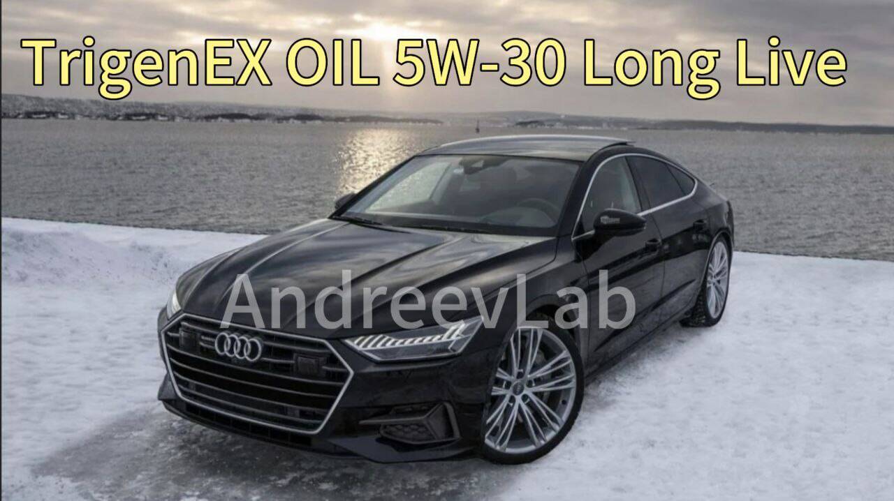 Моторное масло TrigenEX OIL 5W30 Long Live PAO в Санкт-Петербурге фото 2 Транспорт Санкт-Петербург