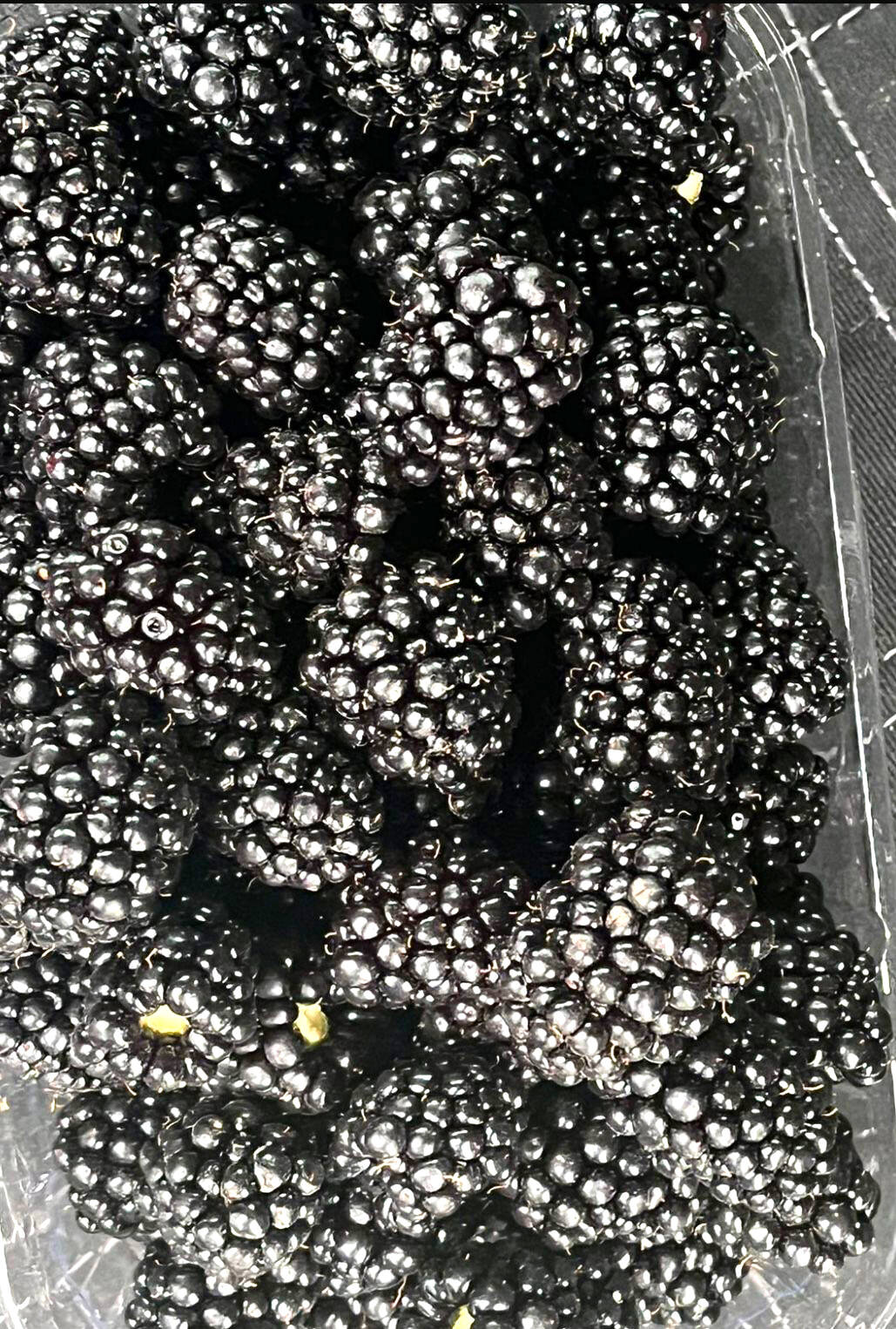 Плантации ежевики (готовый бизнес) в Лабинске фото 3 Недвижимость Лабинск