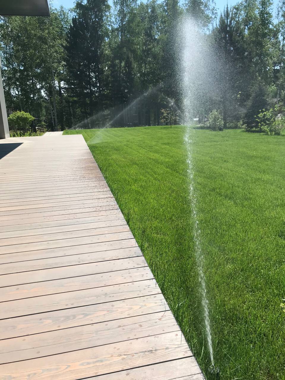 Автополив растений, газона в Иркутске, Ангарске (на участке, в теплицах) в Иркутске фото 3 Услуги Иркутск