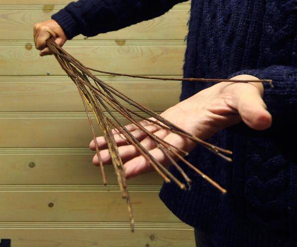 Сеансы йоги и воспитания для девушек, женщин и семейных пар