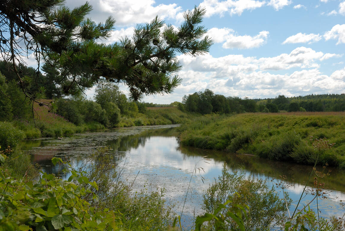 Бартер на 2-а участка по 1-му га, граничат друг с другом № 7; № 8. в Твери фото 6 Недвижимость Тверь