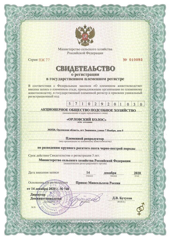 Семя быков-производителей в Орле фото 3 Услуги Орёл