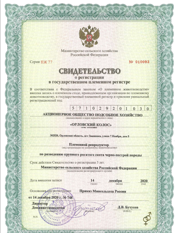 Семя быков-производителей в Орле фото 2 Услуги Орёл