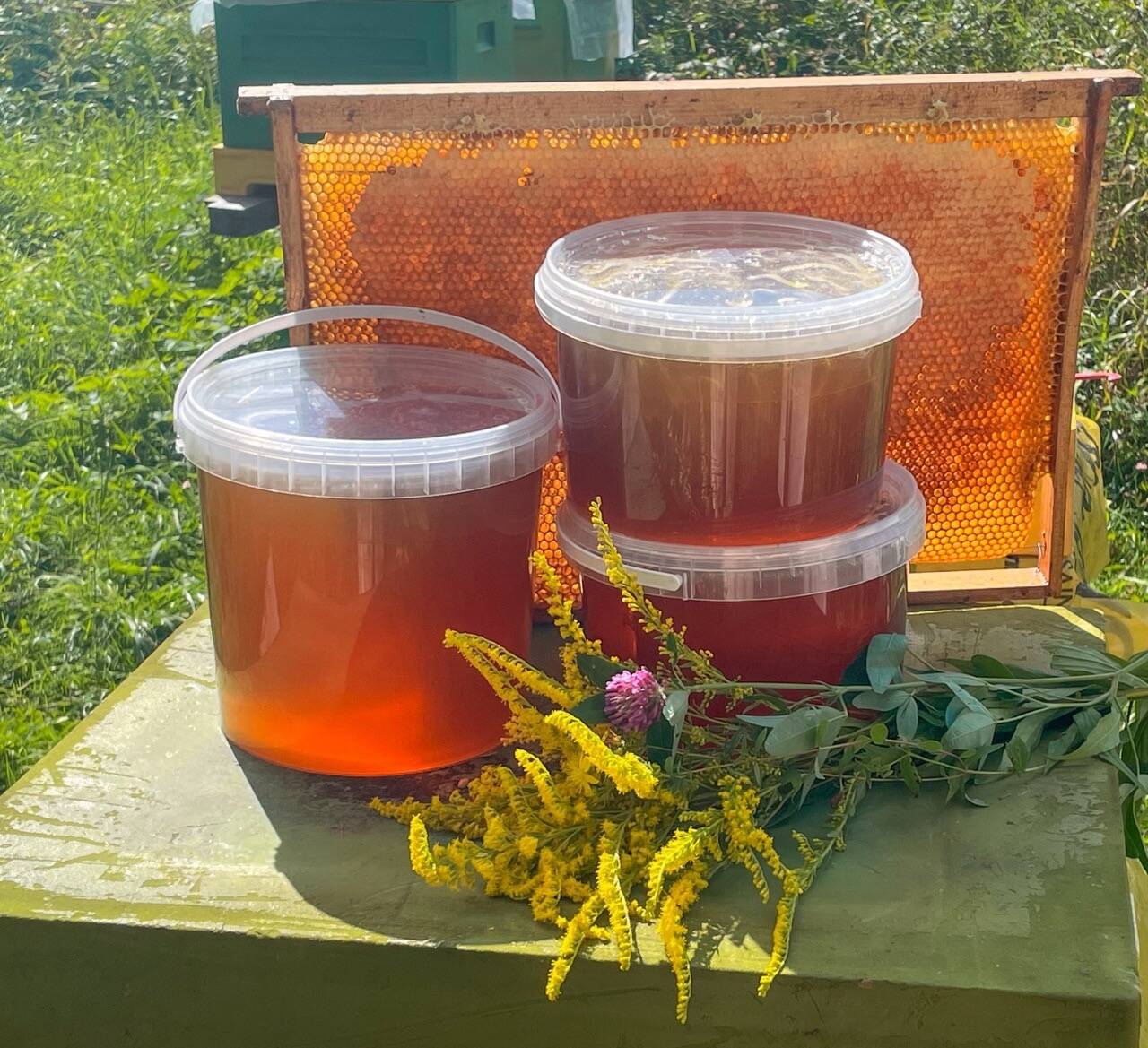 Натуральный мед в Костроме фото 1 Продукты питания Кострома