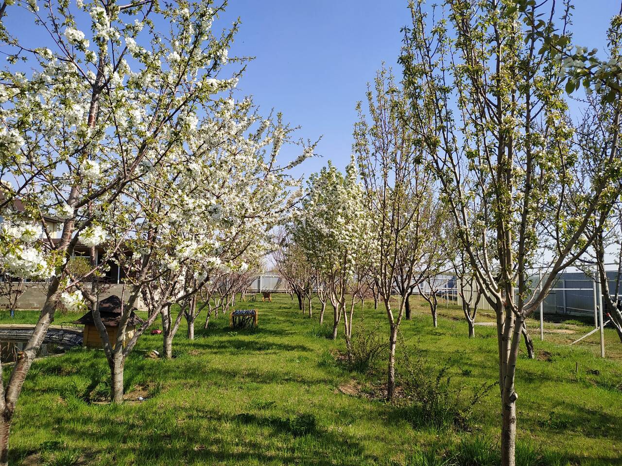 Продаётся дом общей площадью 600 м2, с участком 40 соток.  в Волгограде фото 2 Недвижимость Волгоград