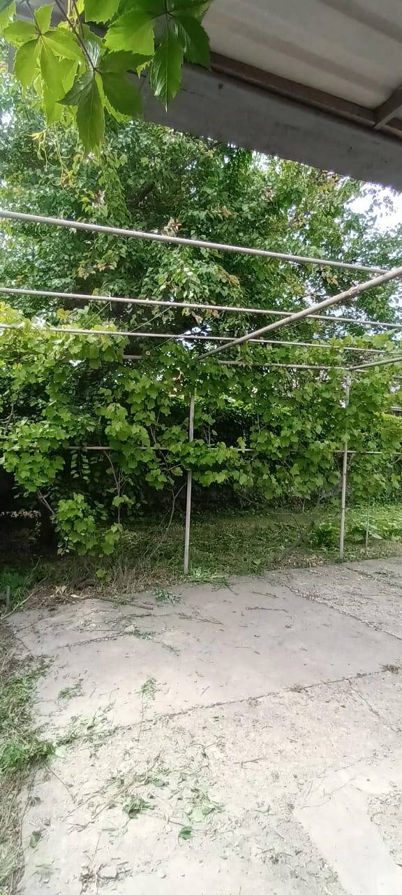 Продам участок под строительство с садовым домиком в Азове фото 5 Недвижимость Азов