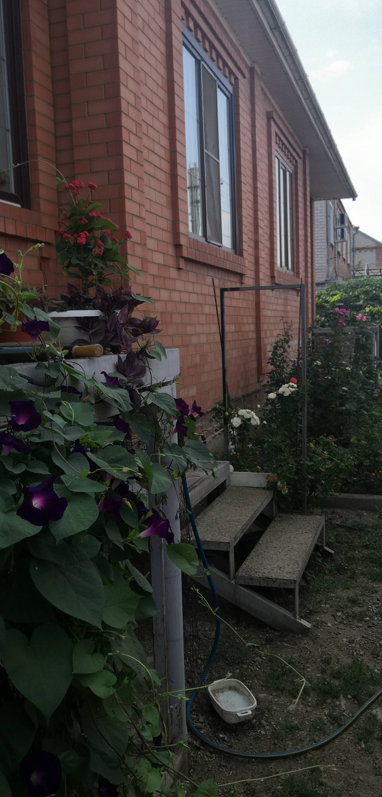 недвижимость