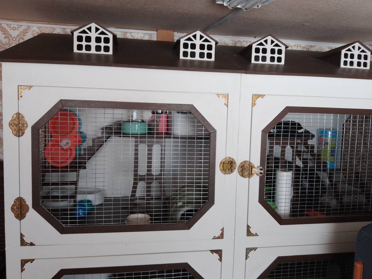 Передержка норок, хорьков, феток.