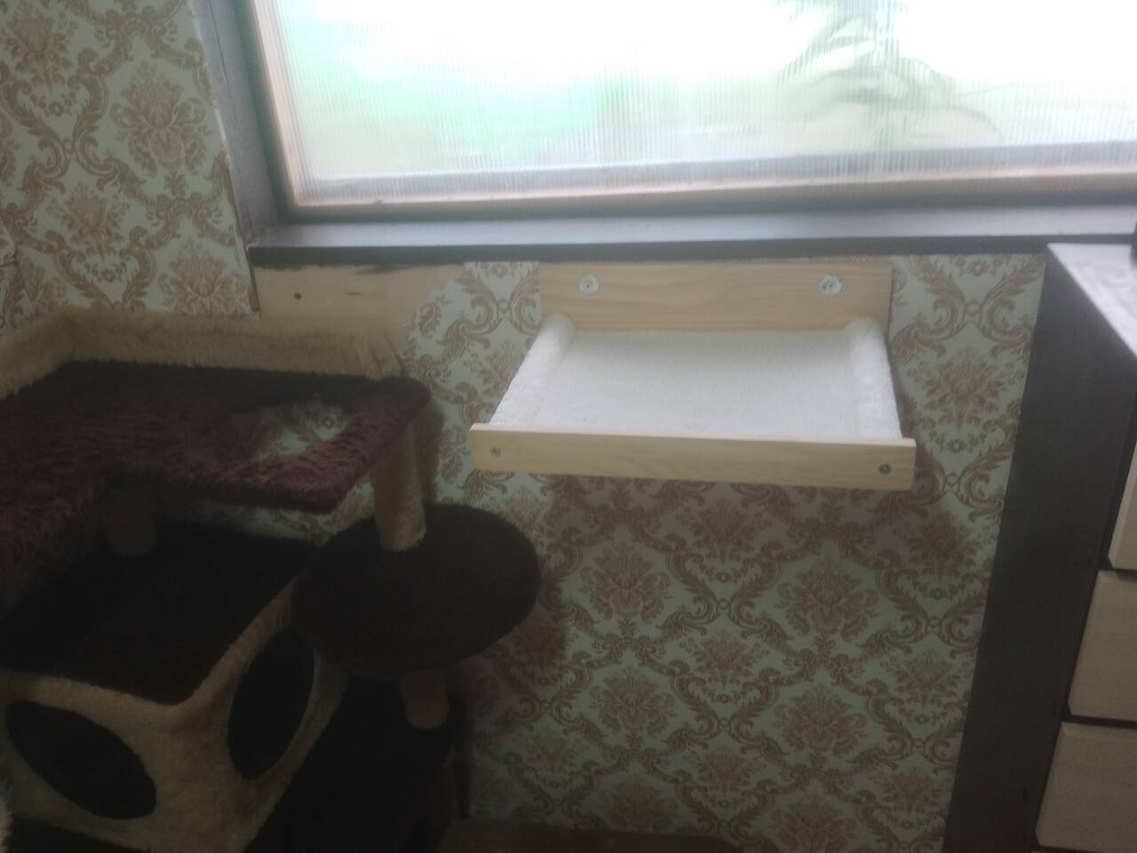 Передержка норок, хорьков, феток. в Салехарде фото 3 Услуги Салехард