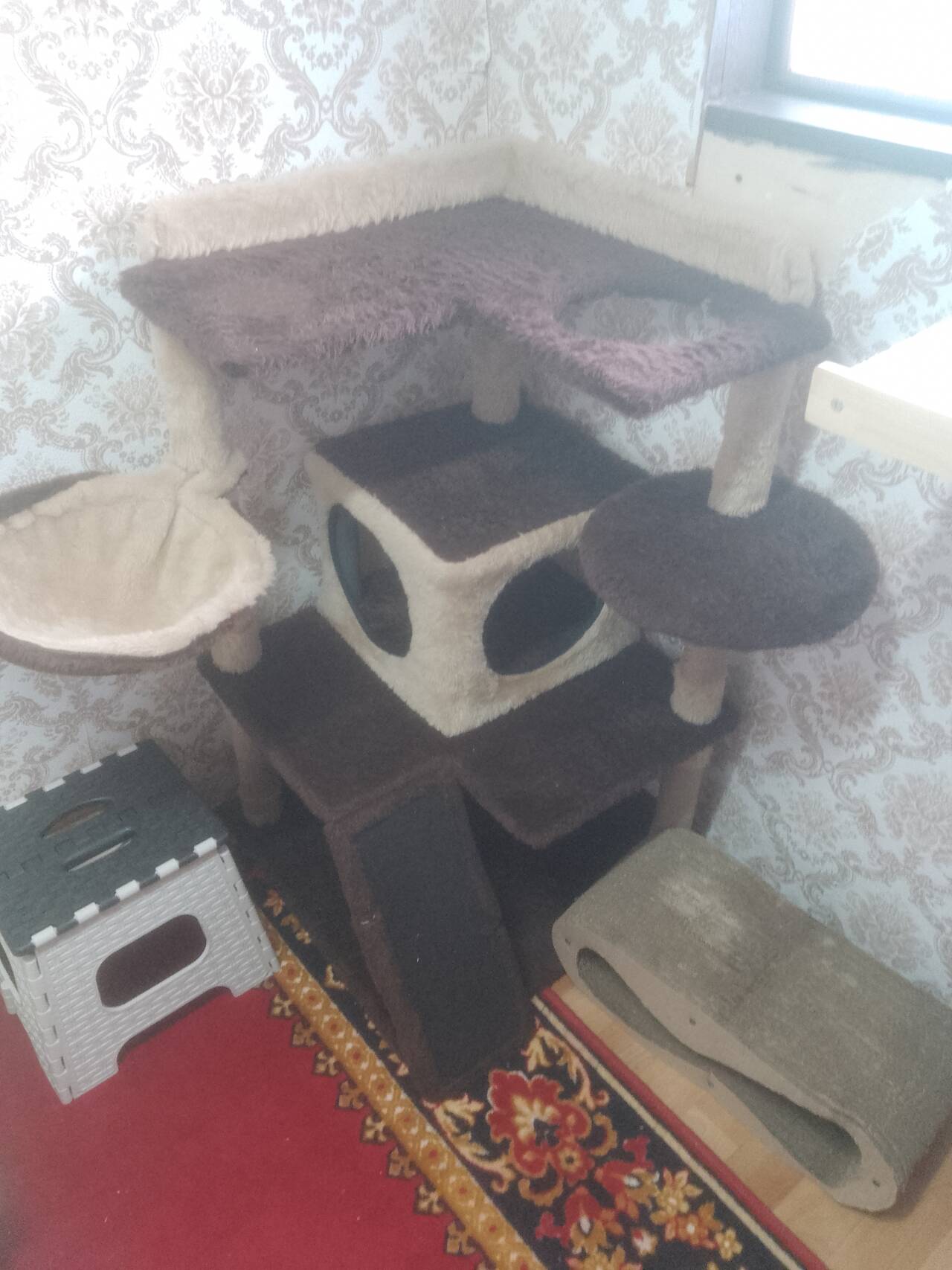 Передержка норок, хорьков, феток. в Салехарде фото 6 Услуги Салехард