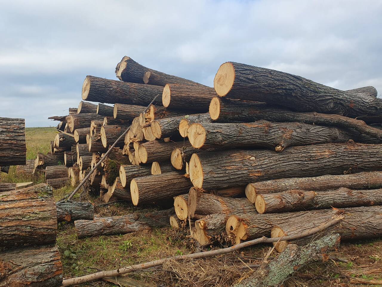 Доска необрезная липа в Уфе фото 5 Для дома и дачи Уфа Доска необрезная липа в Уфе фото 5 Для дома и дачи Уфа