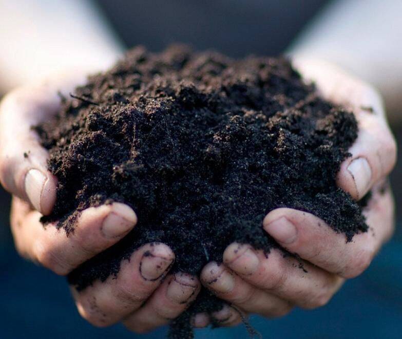 Торф нейтрализованный в мешках по 60 литров