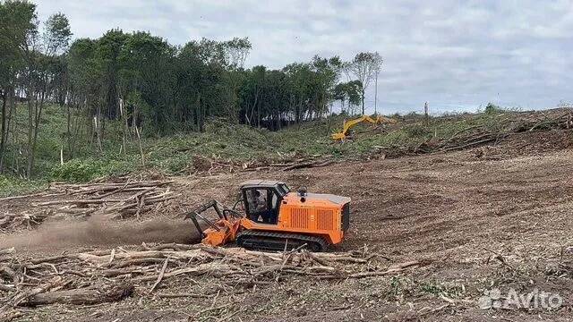 Расчистка территорий от деревьев и пней от 1 Га в Ярославле фото 6 Услуги Ярославль