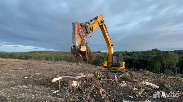 Расчистка территорий от деревьев и пней от 1 Га в Ярославле фото 2 Услуги Ярославль