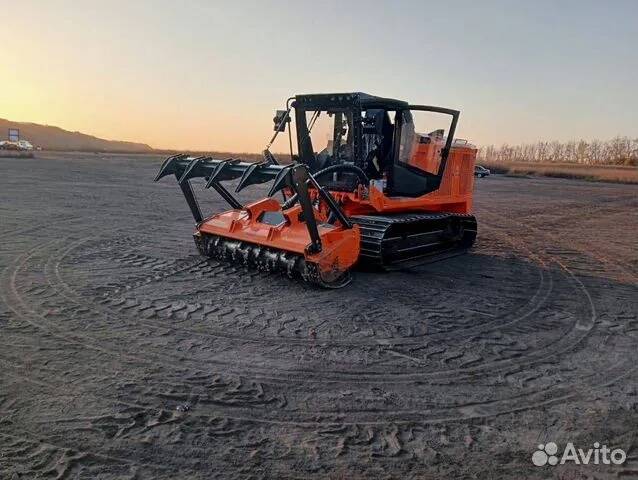 Расчистка территорий от деревьев и пней от 1 Га в Ярославле фото 4 Услуги Ярославль