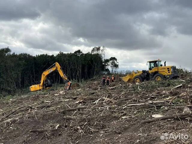Расчистка территорий от деревьев и пней от 1 Га в Ярославле фото 7 Услуги Ярославль