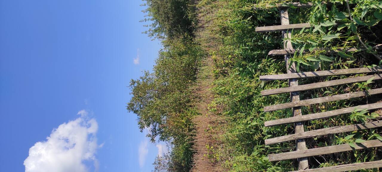 Земельный участок в живописном месте в Омске фото 3 Недвижимость Омск