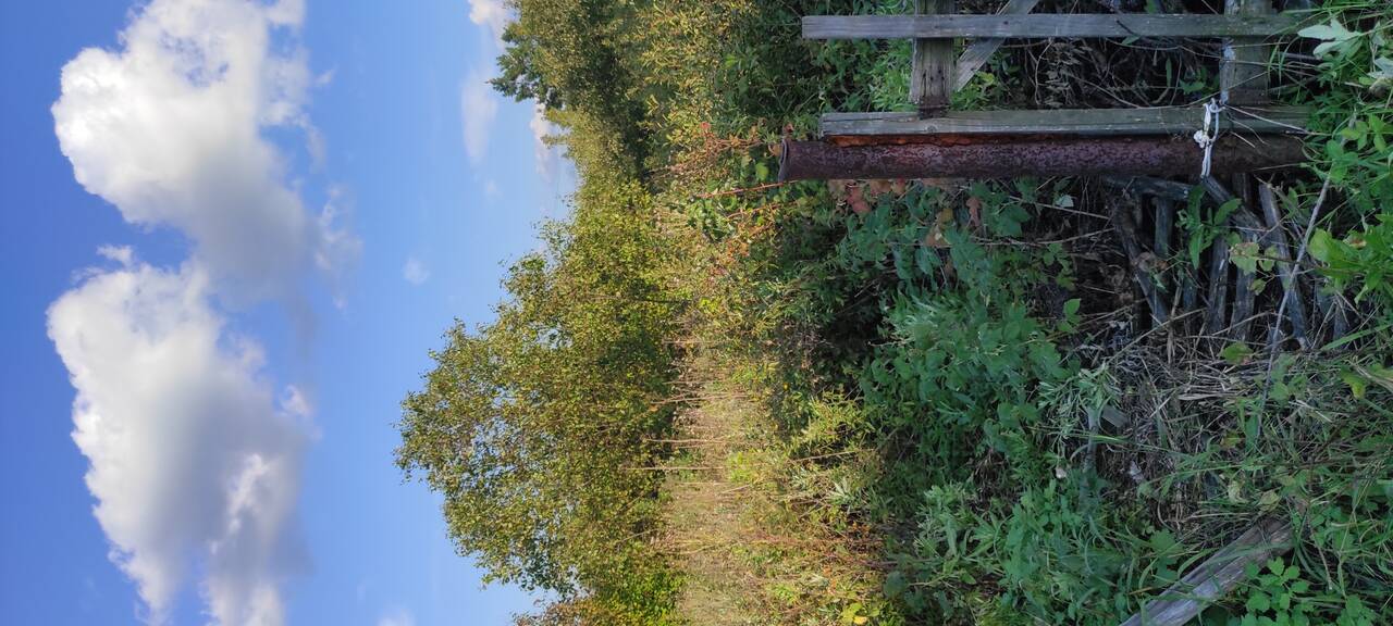 Земельный участок в живописном месте в Омске фото 2 Недвижимость Омск