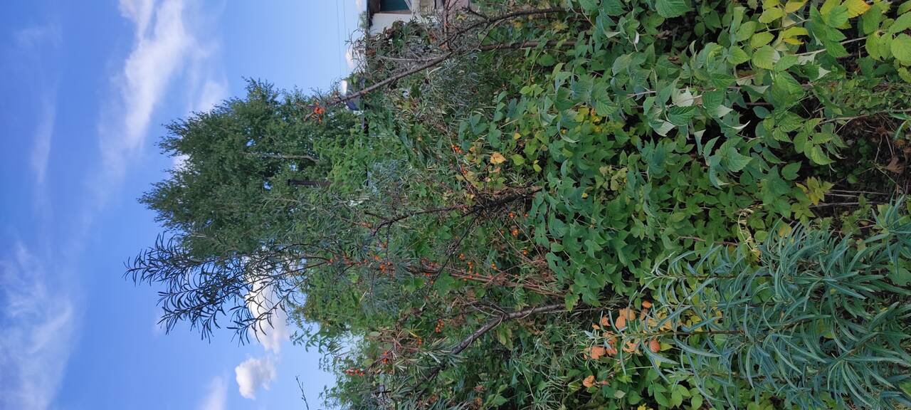 Продам два смежных земельных участка площадью 1 217 кв.м. в Омске фото 4 Недвижимость Омск Продам два смежных земельных участка площадью 1 217 кв.м. в Омске фото 4 Недвижимость Омск