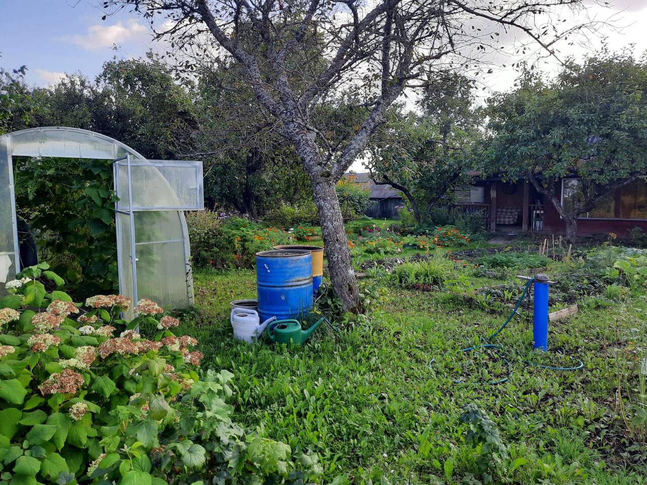 Дом 49 м2 на участке 37 сот. в Сосновом Бору фото 6 Недвижимость Сосновый Бор