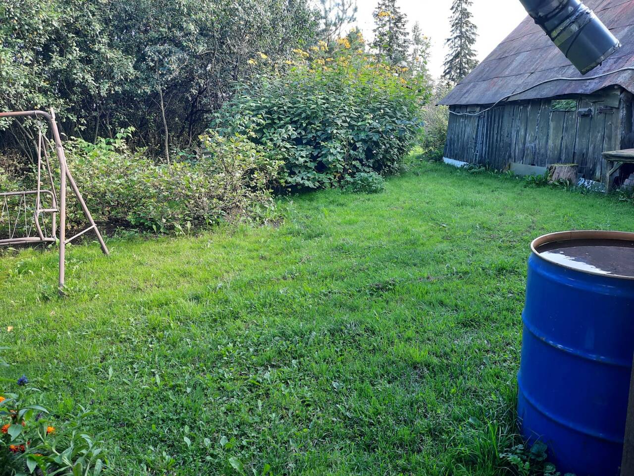 Дом 49 м2 на участке 37 сот. в Сосновом Бору фото 5 Недвижимость Сосновый Бор